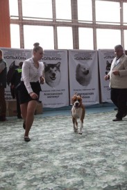 ffVYHRLzR40.jpg (65.31 КБ, Просмотров: 6722) ffVYHRLzR40.jpg