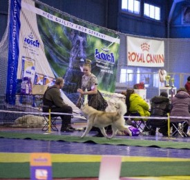 getImage (1).jpg (61.01 КБ, Просмотров: 7219) getImage (1).jpg