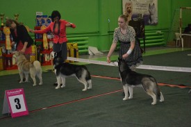 getImage (3).jpg (185.76 КБ, Просмотров: 6182) getImage (3).jpg