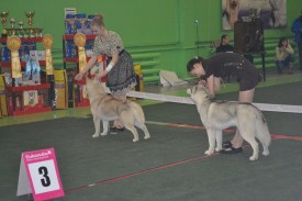 getImage (4).jpg (181.17 КБ, Просмотров: 6721) getImage (4).jpg