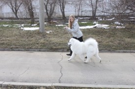 h0krWyFAj6A.jpg (72.05 КБ, Просмотров: 6722) h0krWyFAj6A.jpg