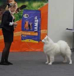 HTy0gkXmy20.jpg (14.36 КБ, Просмотров: 7227) HTy0gkXmy20.jpg