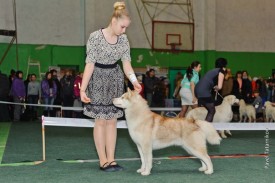 hZHdr4ZV9ts.jpg (58.09 КБ, Просмотров: 6721) hZHdr4ZV9ts.jpg