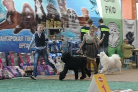 jluUM8Xl2_Q.jpg (57.73 КБ, Просмотров: 6728) jluUM8Xl2_Q.jpg