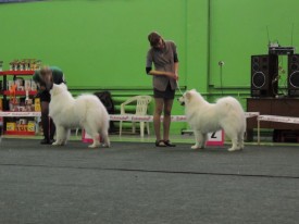 KQUSYUkN.jpg (115.01 КБ, Просмотров: 6721) KQUSYUkN.jpg