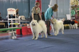 RdYACWIooVQ.jpg (58.78 КБ, Просмотров: 6190) RdYACWIooVQ.jpg