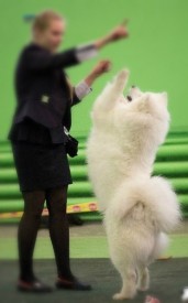 vrtSmWJpoJk.jpg (24.43 КБ, Просмотров: 6182) vrtSmWJpoJk.jpg