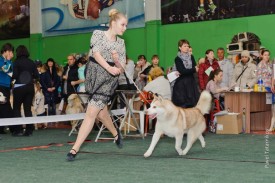 XRVkgy1ZVrs.jpg (69.45 КБ, Просмотров: 6187) XRVkgy1ZVrs.jpg