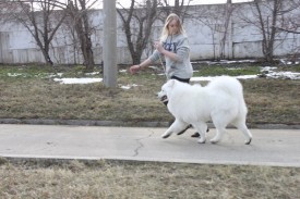 ZJaBydK9Z20.jpg (69.69 КБ, Просмотров: 6208) ZJaBydK9Z20.jpg