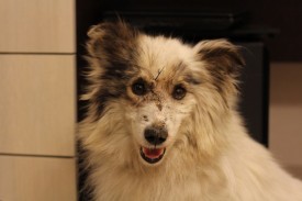 GdnxcYGsCwg.jpg (54.64 КБ, Просмотров: 2344) GdnxcYGsCwg.jpg