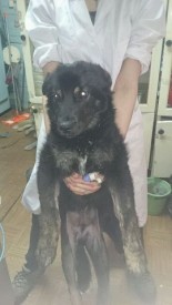 AdXNZKrX438.jpg (20.68 КБ, Просмотров: 2626) AdXNZKrX438.jpg