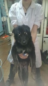 fXX94fIvWvw.jpg (20.42 КБ, Просмотров: 2914) fXX94fIvWvw.jpg