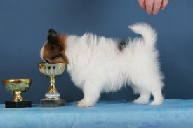 HC2U7162 (640x427).jpg (69.03 КБ, Просмотров: 1290) HC2U7162 (640x427).jpg