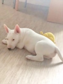 рисунок_11.jpg (21.68 КБ, Просмотров: 1317) рисунок_11.jpg