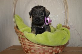 IMG_20140502_043425_8.jpg (160.92 КБ, Просмотров: 1805) IMG_20140502_043425_8.jpg