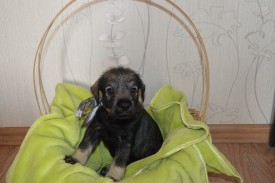 IMG_20140502_032401_0.jpg (162.67 КБ, Просмотров: 1697) IMG_20140502_032401_0.jpg