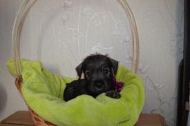 IMG_20140502_043413_7.jpg (144.02 КБ, Просмотров: 1697) IMG_20140502_043413_7.jpg