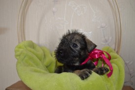 IMG_20140502_043404_6.jpg (137.46 КБ, Просмотров: 1803) IMG_20140502_043404_6.jpg