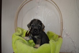 IMG_20140502_032434_2.jpg (142.28 КБ, Просмотров: 1697) IMG_20140502_032434_2.jpg