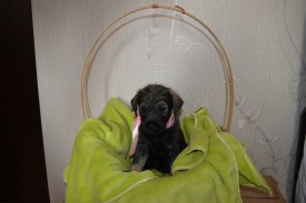 IMG_20140502_032410_1.jpg (140.66 КБ, Просмотров: 1697) IMG_20140502_032410_1.jpg