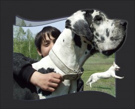 8.1.jpg (232.05 КБ, Просмотров: 12983) 8.1.jpg