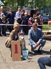 10290604_649507518457284_3796359406679136789_n (2).jpg (106.5 КБ, Просмотров: 6483) 10290604_649507518457284_3796359406679136789_n (2).jpg