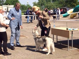 10295685_649507548457281_5003604606632106935_n.jpg (131.2 КБ, Просмотров: 6162) 10295685_649507548457281_5003604606632106935_n.jpg