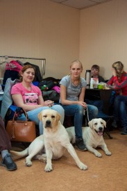 DSC_0144.jpg (196.34 КБ, Просмотров: 5028) DSC_0144.jpg