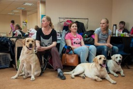 DSC_0145.jpg (226.36 КБ, Просмотров: 5028) DSC_0145.jpg