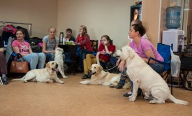 DSC_0147.jpg (192.98 КБ, Просмотров: 5028) DSC_0147.jpg