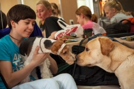 DSC_0185.jpg (200.82 КБ, Просмотров: 5028) DSC_0185.jpg