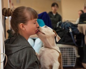 DSC_0197.jpg (218.82 КБ, Просмотров: 5028) DSC_0197.jpg