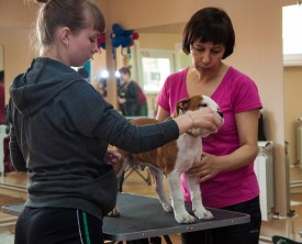 DSC_0224.jpg (199.04 КБ, Просмотров: 5028) DSC_0224.jpg