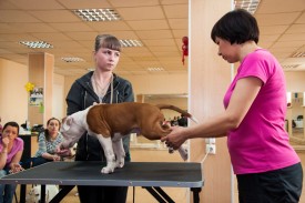 DSC_0232.jpg (199.62 КБ, Просмотров: 5028) DSC_0232.jpg