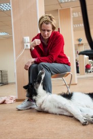 DSC_0236.jpg (189.57 КБ, Просмотров: 5028) DSC_0236.jpg