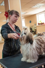 DSC_0239.jpg (210.06 КБ, Просмотров: 5028) DSC_0239.jpg