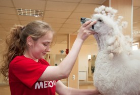 DSC_0242.jpg (177.74 КБ, Просмотров: 5028) DSC_0242.jpg