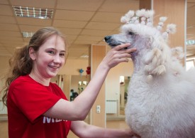 DSC_0243.jpg (187.11 КБ, Просмотров: 5028) DSC_0243.jpg