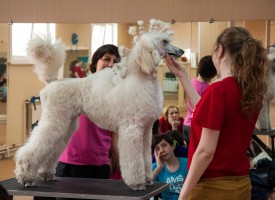 DSC_0254.jpg (219.06 КБ, Просмотров: 5027) DSC_0254.jpg