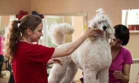 DSC_0258.jpg (174.14 КБ, Просмотров: 5027) DSC_0258.jpg