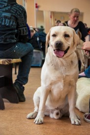 DSC_0259.jpg (199.29 КБ, Просмотров: 5027) DSC_0259.jpg