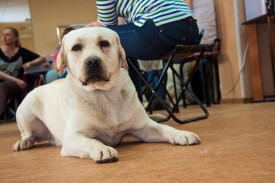 DSC_0265.jpg (182.46 КБ, Просмотров: 5027) DSC_0265.jpg