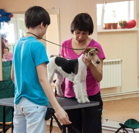 DSC_0266.jpg (185.67 КБ, Просмотров: 5027) DSC_0266.jpg