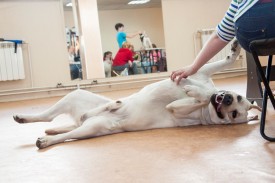 DSC_0270.jpg (164.69 КБ, Просмотров: 5027) DSC_0270.jpg