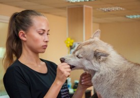 DSC_0278.jpg (195.47 КБ, Просмотров: 5027) DSC_0278.jpg
