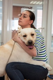 DSC_0285.jpg (177.69 КБ, Просмотров: 5027) DSC_0285.jpg