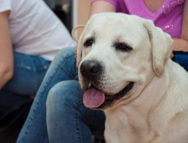 DSC_0287.jpg (182.05 КБ, Просмотров: 5027) DSC_0287.jpg