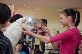 DSC_0293.jpg (177.66 КБ, Просмотров: 5027) DSC_0293.jpg