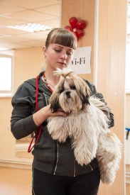 DSC_0326.jpg (184.67 КБ, Просмотров: 5027) DSC_0326.jpg