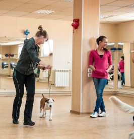 DSC_0345.jpg (181.59 КБ, Просмотров: 5027) DSC_0345.jpg